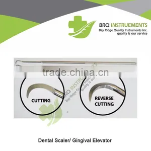 Dental Scaler/ Gingival Elevator thumbnail-1