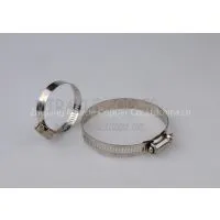 Hose Clamp 016 thumbnail-1