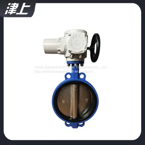 Wafer Type Electric Butterfly Valve DN20 General Electric Actuator thumbnail-4