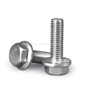 Metric Stainless Steel Hex Cap Serrated Flange Bolt With Nuts thumbnail-1