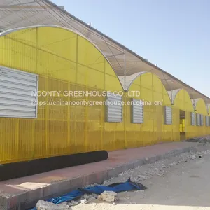 Economical Commercial Polycarbonate Sheet Greenhouse thumbnail-3