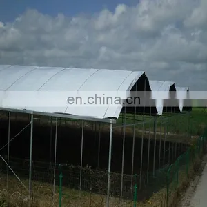 Transparent PE Tarpaulin UV Treatment Woven Fabric Film for Cherry Tree Protection Cover thumbnail-1
