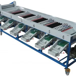 Orang Sorter Machine/ Mandarin Orange Sorting Machine/ Apple Grading Machine thumbnail-4