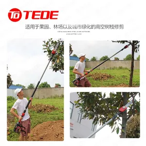 TEDE Lithium-ion Rechargeable Pole Saw YD-5581 - One for Power Supply, One for Charging thumbnail-5