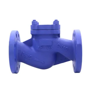 High Quality Factory Direct Sales Lifting Check Valve thumbnail-1