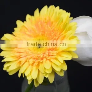 Fresh Champagne Flowers of Gerbera thumbnail-2