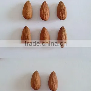 2016hot Sale Sweet Almond thumbnail-1