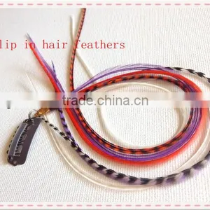 Colorful Hot Sale Clip in Feather Hair Extensions thumbnail-1