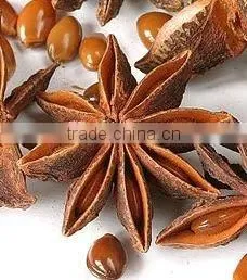 Star Aniseed (Good Quality) thumbnail-1