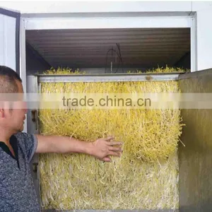 New Brand Bean Sprout Machine Soya Bean Mung Bean Black Bean thumbnail-4