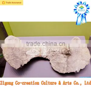 Display Hall Dinosaurs Skeleton Replica thumbnail-2