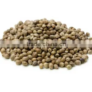 Quality Hemp Seeds thumbnail-6
