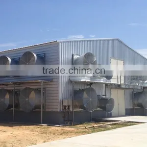 Low Cost Professional Steel Structure Poultry House thumbnail-2