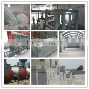 TOP Quality Shandong Linyi Low Cost Aac Block Making Plant for Sales - TIANYUAN BRAND thumbnail-4
