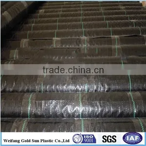 PP Nonwoven Weed Barrier Ground Cover Fabric thumbnail-2