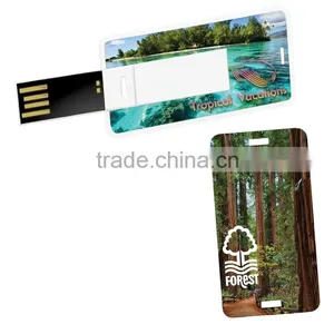 Plastic Card Type Usb Flash Drive, Custom Blank Usb Card With Keychain, Free Full Color Printing Usb Memory Card thumbnail-3