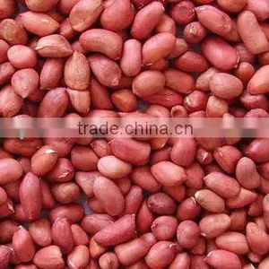 Shandong Red Skin Peanut Kernels/ground Nuts thumbnail-1
