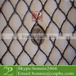 Polyethylene Bird Netting for Protect Plant thumbnail-1