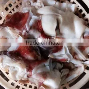 Frozen Giant Peru Squid Neck Raw Squid Necks thumbnail-1