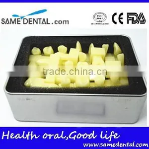 1.2 Times the Tooth Model Dental Eduction Assitant No. DEA-13 thumbnail-3