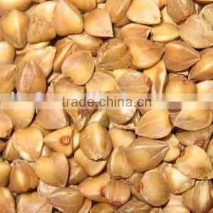 Roasted Buckwheat Kernel, Roasted Buckwheat Hull thumbnail-1