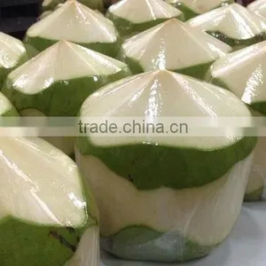 Hkvimex Fresh Coconut thumbnail-1