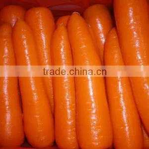 Fresh Carrot thumbnail-1