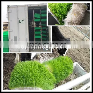 Automatic Temperature Control Green Fodder System thumbnail-1