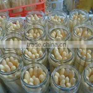 Fresh Canned White Asparagus in Jar With Price thumbnail-3