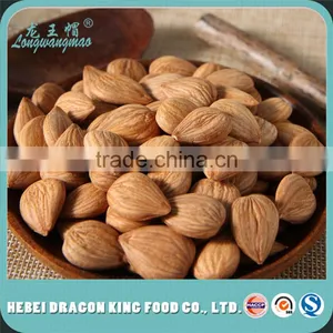 Dried Apricot Seeds thumbnail-1