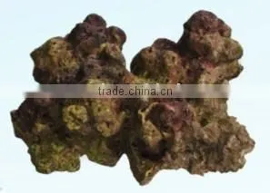 Latest Aquarium Coral Stone thumbnail-1