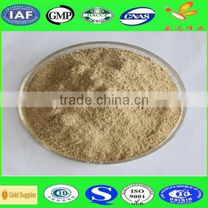 100% Pure Fresh Lyophilized Royal Jelly Powder thumbnail-1