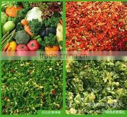 Easy to Operate Automatic Garlic Grinding Machine thumbnail-4