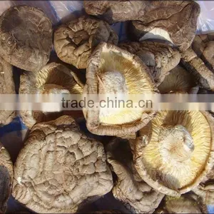 Moringa Leaf Drying Machine/tea Leaf Dryer Machine/herb Drying Machine thumbnail-4