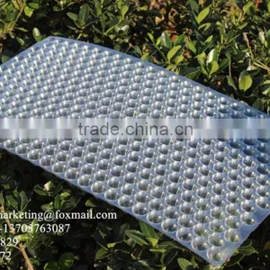 434 Holes Transparent Plastic Paddy Seed Starting Tray for Rice Propagation/Parachute Seedling Trays thumbnail-1