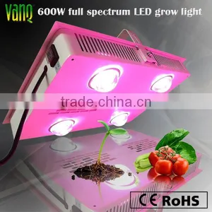 Top 600W COB Led Grow Light for Full Spectrum Lighting thumbnail-1
