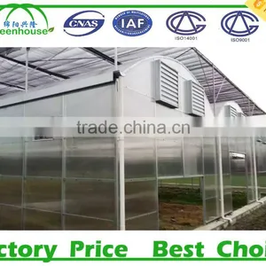 China Agricultural Greenhouse thumbnail-4