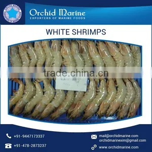 Premium Quality Natural Taste White Shrimps With Long Shelf Life thumbnail-6