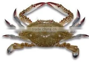 Seafood and Qualtiy Fresh and Crab Cakes Recipes thumbnail-1