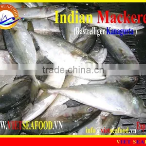 FROZEN W/R INDIAN MACKEREL thumbnail-2
