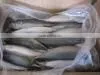 New Land Frozen Mackerel 300-500g thumbnail-1