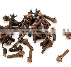 Clove Oil thumbnail-2