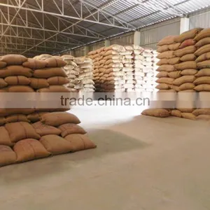 Non GMO Soyabean thumbnail-3