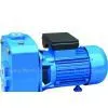 SELF PRIMING PUMP thumbnail-1