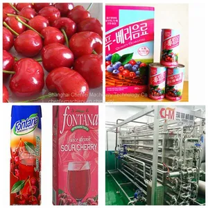 Fruit Juice Processing Line thumbnail-1