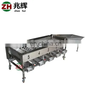 Commercial Apple Fruit Grader Apple Sorting Machine thumbnail-6