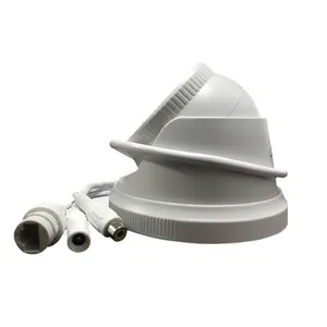 Full Starlight Dome Network IP Camera From CCTV Cameras Suppliers thumbnail-4