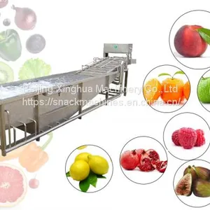 Fruit And Vegetable Washing Machine Operation Manufacturing Process thumbnail-5