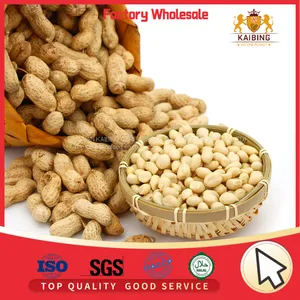 CHINESE BLANCHED GROUNDNUT KERNELS 25/29 WITH TOP QUALITY thumbnail-1
