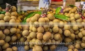 Longan Fruit thumbnail-4
